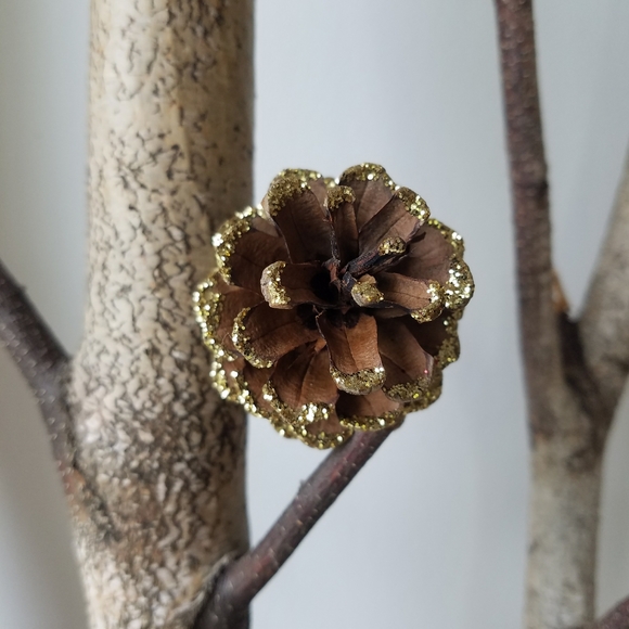 Glittered Pinecones - Picture 10 of 11